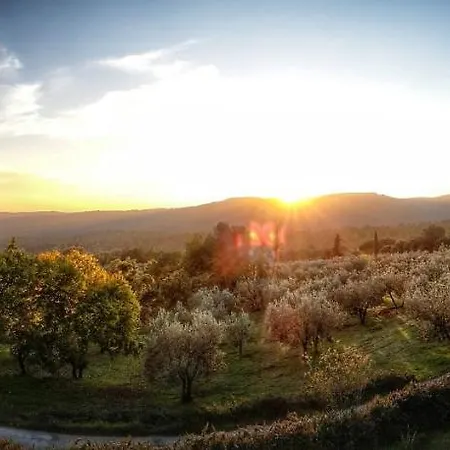 Lejlighed Podere Argena