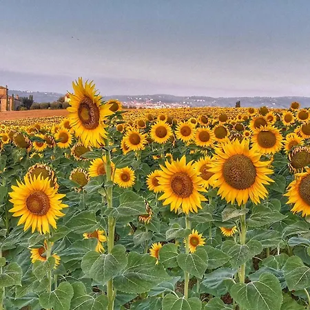 Lejlighed Podere Argena