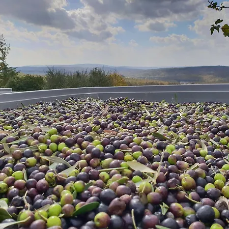 Διαμέρισμα Podere Argena Lucignano
