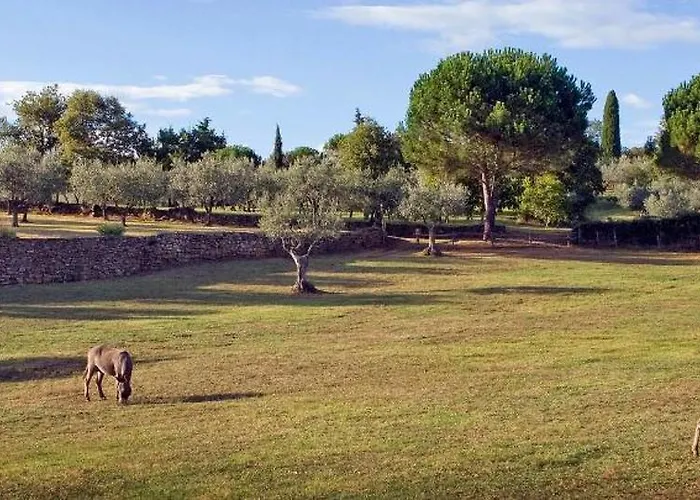 Podere Argena